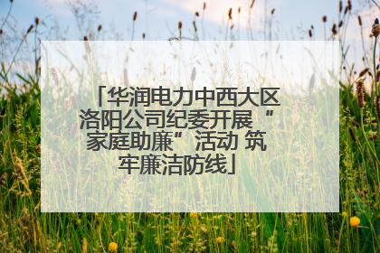 华润电力中西大区洛阳公司纪委开展“家庭助廉”活动 筑牢廉洁防线