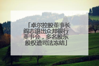 卓尔控股董事长阎志退出众邦银行董事会，多名股东股权遭司法冻结