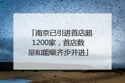 南京已引进首店超1200家，首店数量和能级齐步并进