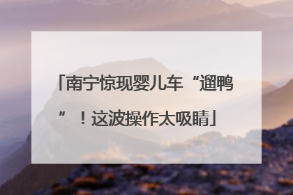南宁惊现婴儿车“遛鸭”！这波操作太吸睛