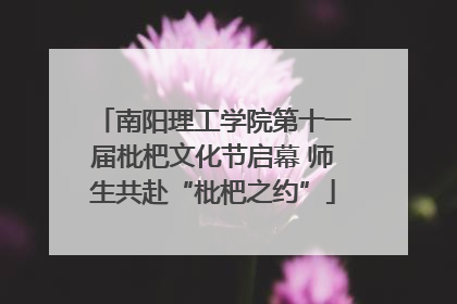 南阳理工学院第十一届枇杷文化节启幕 师生共赴“枇杷之约”