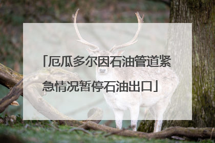 厄瓜多尔因石油管道紧急情况暂停石油出口