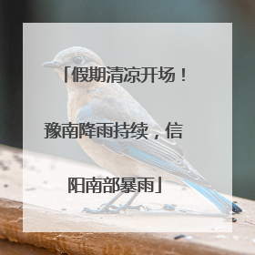 假期清凉开场！豫南降雨持续，信阳南部暴雨