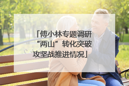 傅小林专题调研“两山”转化突破攻坚战推进情况