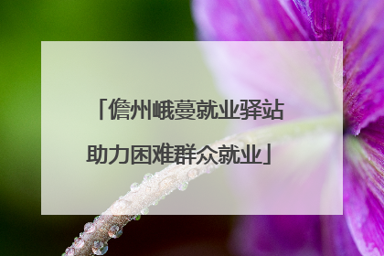 儋州峨蔓就业驿站助力困难群众就业