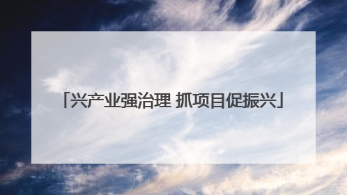 兴产业强治理 抓项目促振兴