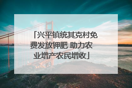 兴平镇统其克村免费发放钾肥 助力农业增产农民增收