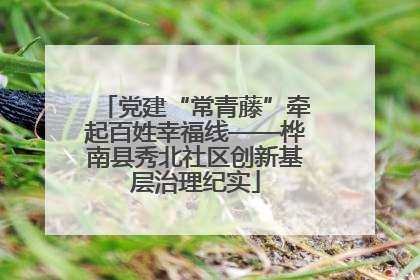 党建“常青藤”牵起百姓幸福线——桦南县秀北社区创新基层治理纪实