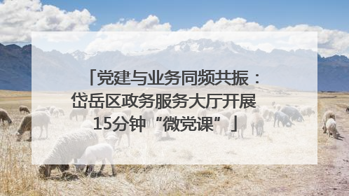 党建与业务同频共振：岱岳区政务服务大厅开展15分钟“微党课”