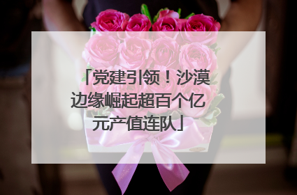 党建引领！沙漠边缘崛起超百个亿元产值连队