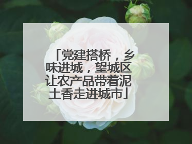 党建搭桥，乡味进城，望城区让农产品带着泥土香走进城市