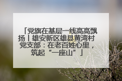 党旗在基层一线高高飘扬丨雄安新区雄县黄湾村党支部：在老百姓心里，筑起“一座山”