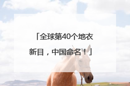 全球第40个地衣新目，中国命名！