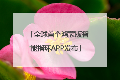 全球首个鸿蒙版智能指环APP发布