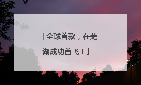 全球首款，在芜湖成功首飞！