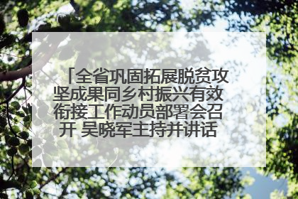 全省巩固拓展脱贫攻坚成果同乡村振兴有效衔接工作动员部署会召开 吴晓军主持并讲话 罗东川作安排部署
