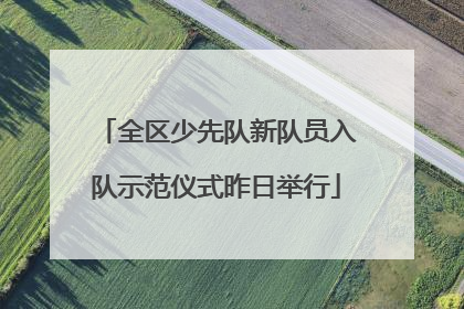 全区少先队新队员入队示范仪式昨日举行