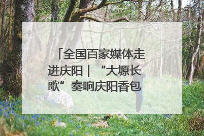 全国百家媒体走进庆阳｜“大塬长歌”奏响庆阳香包民俗文化节序曲