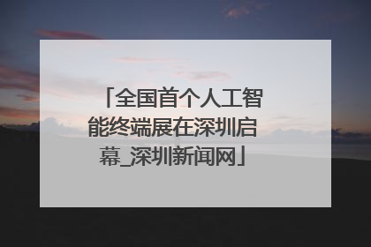 全国首个人工智能终端展在深圳启幕_深圳新闻网