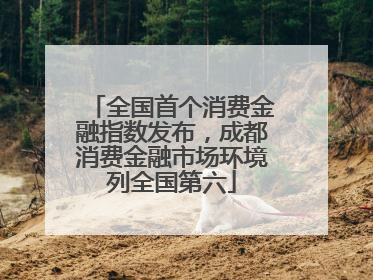 全国首个消费金融指数发布，成都消费金融市场环境列全国第六
