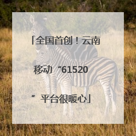 全国首创！云南移动“61520”平台很暖心