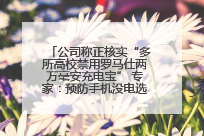 公司称正核实“多所高校禁用罗马仕两万毫安充电宝” 专家：预防手机没电选中等体积产品即可