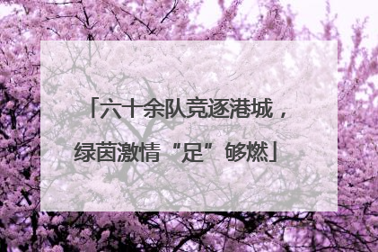 六十余队竞逐港城，绿茵激情“足”够燃