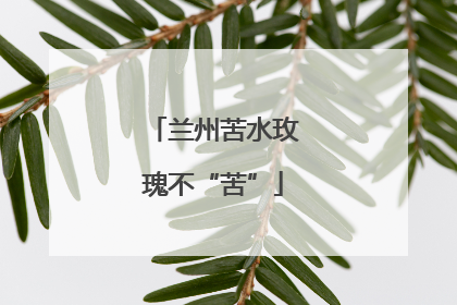 兰州苦水玫瑰不“苦”
