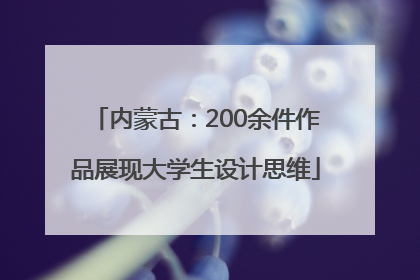 内蒙古：200余件作品展现大学生设计思维