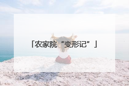 农家院“变形记”