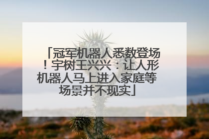 冠军机器人悉数登场！宇树王兴兴：让人形机器人马上进入家庭等场景并不现实