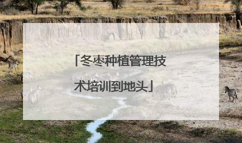 冬枣种植管理技术培训到地头