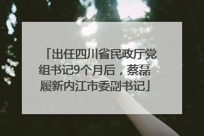 出任四川省民政厅党组书记9个月后，蔡磊履新内江市委副书记