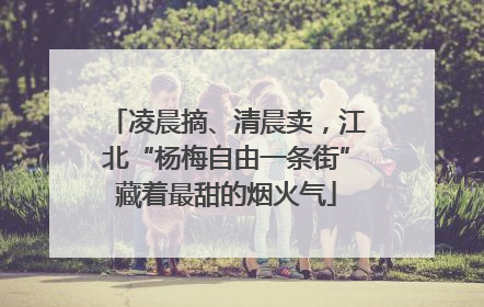 凌晨摘、清晨卖，江北“杨梅自由一条街”藏着最甜的烟火气