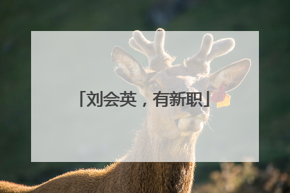 刘会英，有新职