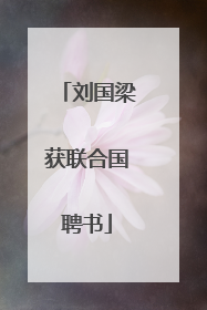 刘国梁获联合国聘书