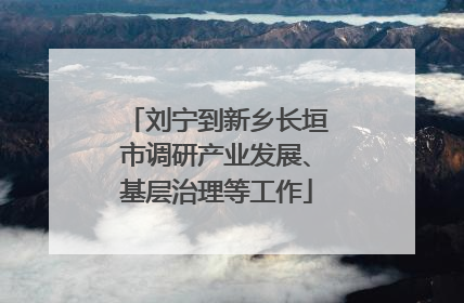 刘宁到新乡长垣市调研产业发展、基层治理等工作