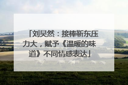 刘昊然：接棒靳东压力大，赋予《温暖的味道》不同情感表达