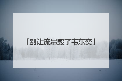 别让流量毁了韦东奕