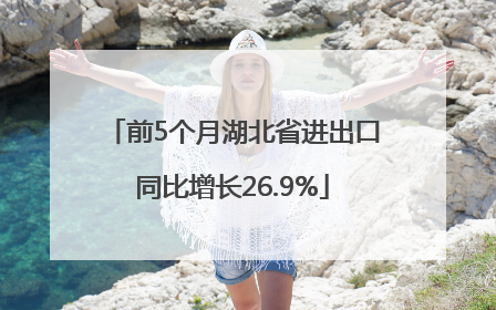 前5个月湖北省进出口同比增长26.9%