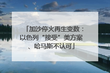 加沙停火再生变数：以色列“接受”美方案、哈马斯不认可