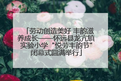 劳动创造美好 丰韵滋养成长——怀远县龙亢镇实验小学“悦劳丰韵节”闭幕式圆满举行