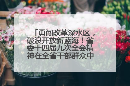 勇闯改革深水区，破浪开放新蓝海！省委十四届九次全会精神在全省干部群众中引发热烈反响