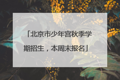 北京市少年宫秋季学期招生，本周末报名