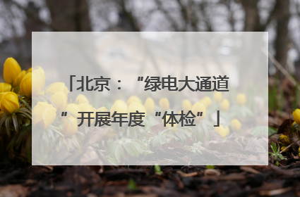北京：“绿电大通道”开展年度“体检”