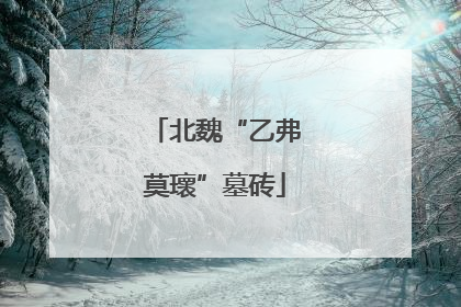 北魏“乙弗莫瓌”墓砖