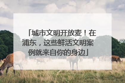 城市文明开放麦！在浦东，这些鲜活文明案例就来自你的身边