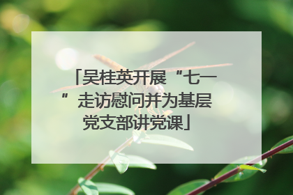 吴桂英开展“七一”走访慰问并为基层党支部讲党课
