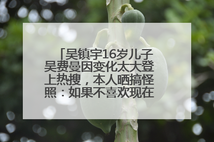 吴镇宇16岁儿子吴费曼因变化太大登上热搜，本人晒搞怪照：如果不喜欢现在的我可以离开
