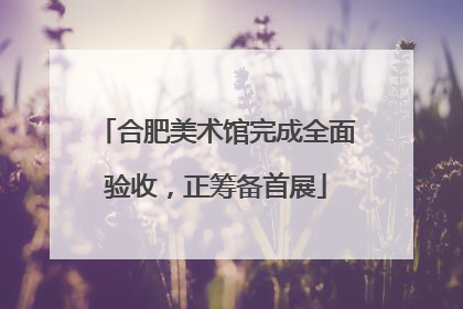 合肥美术馆完成全面验收，正筹备首展